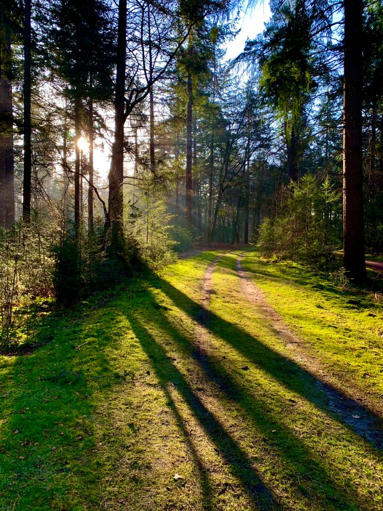 Soul Talk — personal coaching